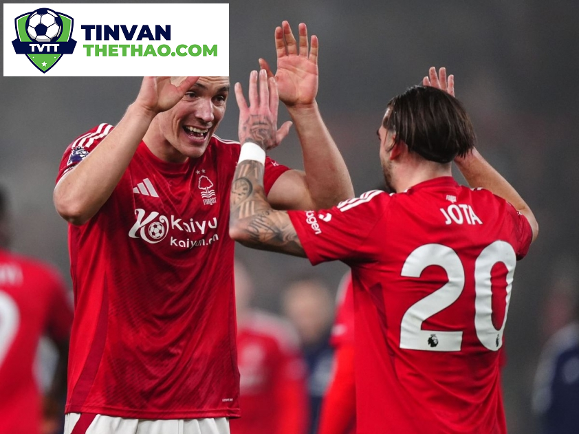 Trực Tiếp Everton Gặp Nottingham Forest: Dự Đoán Thế Trận, 22h00, 29/12/2024 – Liệu Ngựa Ô Có Gây Bất Ngờ?