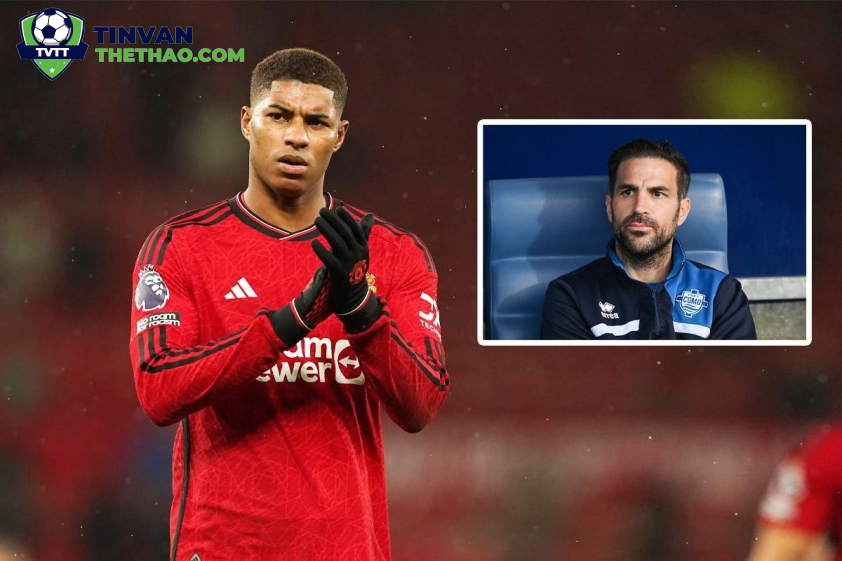 Cesc Fabregas muốn chiêu mộ Marcus Rashford theo dạng cho mượn