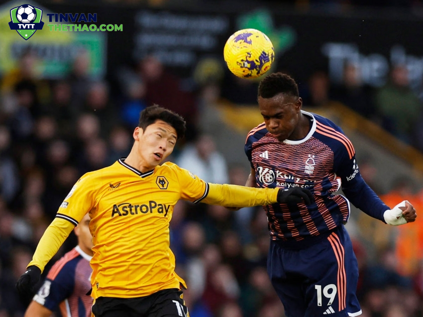 Phân Tích Trận Đấu Wolves và Nottingham Forest: Cuộc Đọ Sức Kịch Tính Lúc 03h00, 07/01/2025